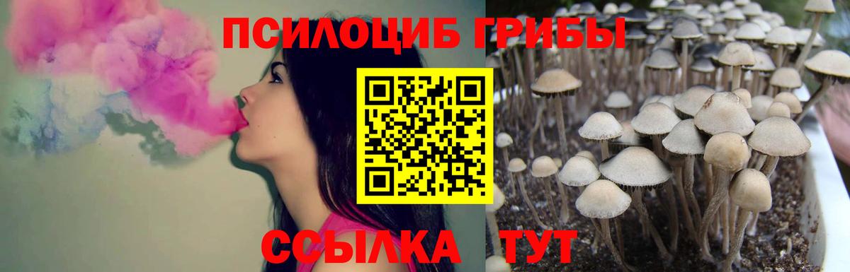 Галлюциногенные грибы ЛСД  Вход с VPN  Галлюциногенные грибы MAGIC MUSHROOMS  Выборг 